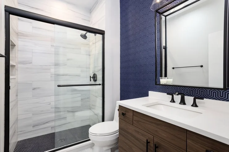 Elegant Contemporary Bathroom Renovation